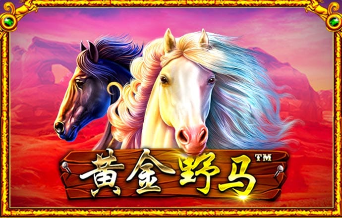 金年会电子游戏入口