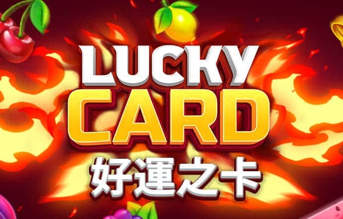 状元红高手论坛第一尖
