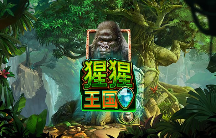 中欧体育kok官方网站入口